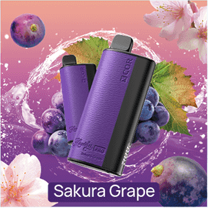 XCOR Hawaii PRO 23000 PUFFS XCOR Hawaii PRO 23000 PUFFS